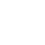 Storm Wind Damage Disaster Relief Business Interruptions